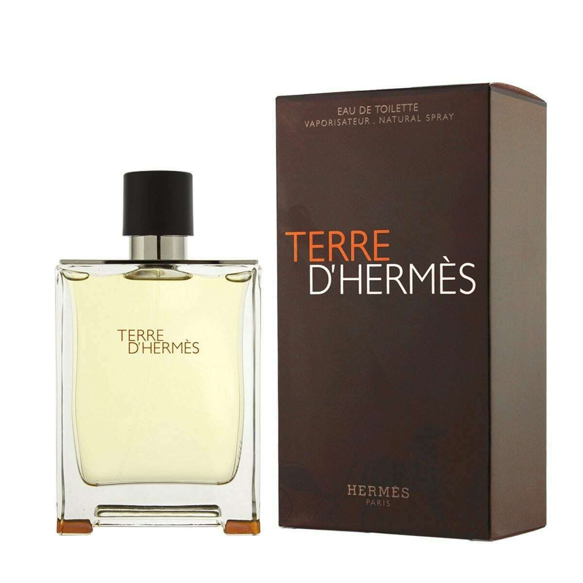 Hermes Terre D' Hermes Eau de Toilette 100ml
