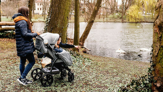 Lionelo Annet Plus Baby Stroller Suitable for Newborn Gray 10.36kg