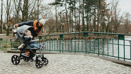 Lionelo Annet Plus Baby Stroller Suitable for Newborn Gray 10.36kg
