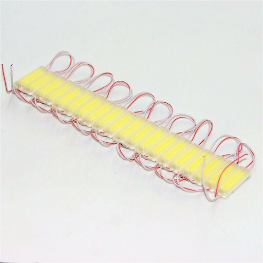 LED Module 12V Ψυχρό Λευκό 20τμχ MZD0075