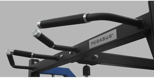 Pegasus HCLT-2004 Smith/Πολυόργανο χωρίς Βάρη