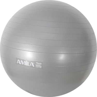 Amila Exercise Ball Pilates 75cm, 1.80kg in Gri Color