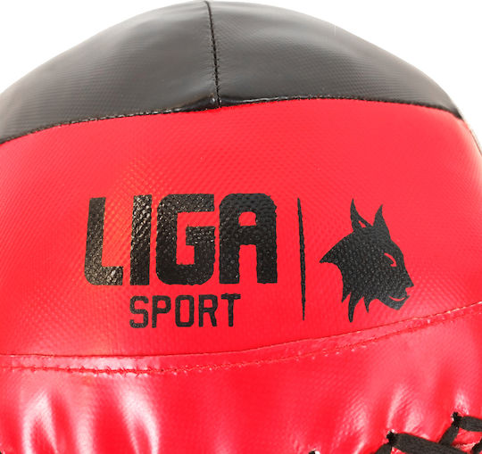 Liga Sport Minge Perete 10kg În Culoare Roșie
