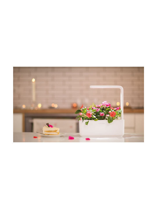 Click and Grow The Smart Garden 3 Self-watering Planter Box Plastic Gray 32x13.5x23cm.