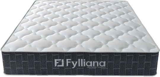Fylliana Oniro Полуединичен Анатомичен Матрак 110x200x30см