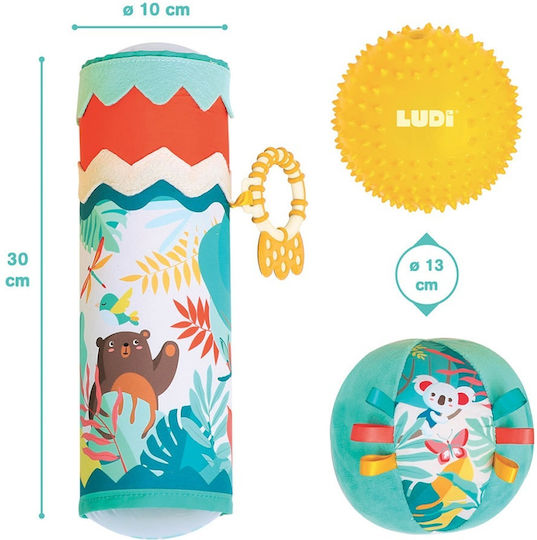 Ludi Μπάλα Jungle Sensory Box για 6+ Μηνών