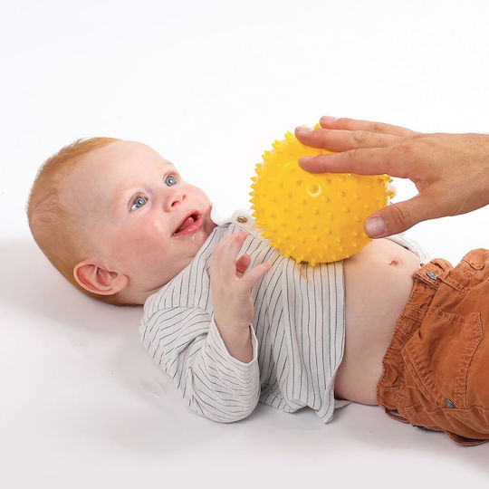 Ludi Μπάλα Jungle Sensory Box για 6+ Μηνών