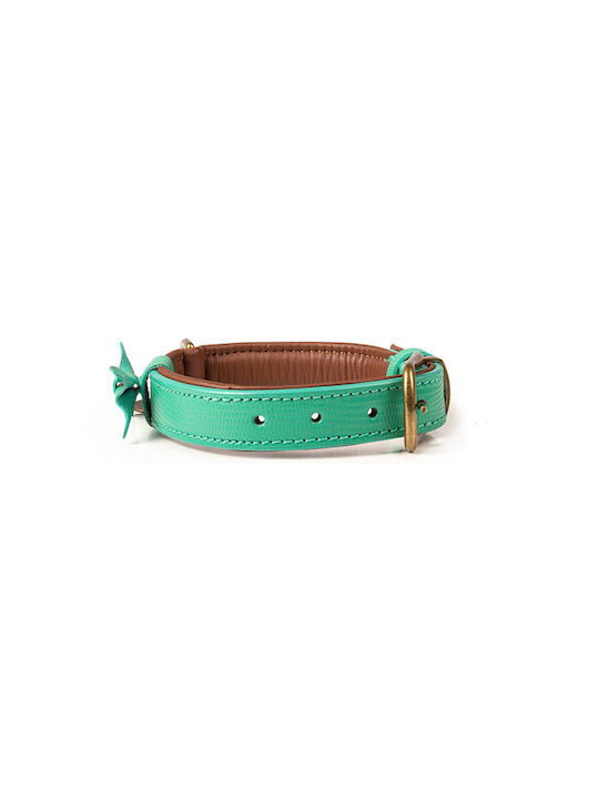 DWAM Boomer Guler pentru câini în culoarea Verde Mici 20mm x 28 - 34cm