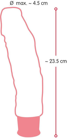 Nature Skin Big Vibe Ρεαλιστικός Δονητής 22cm Flesh