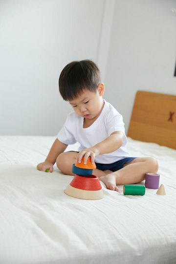 Plan Toys Играчка за подреждане Конус за сортиране от дърво за 18++ месеца