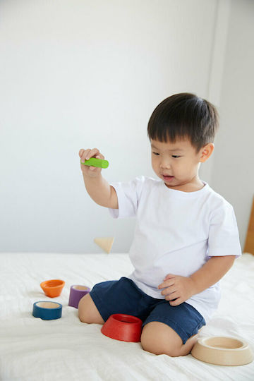 Plan Toys Играчка за подреждане Конус за сортиране от дърво за 18++ месеца