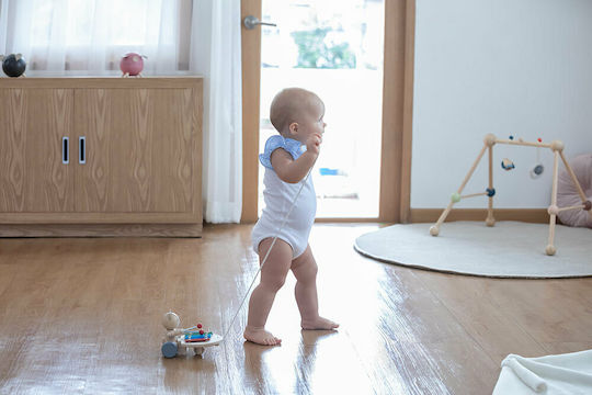 Plan Toys Pull-Along Toy Sliding Bear made of Wood with Sounds for 12++ Months