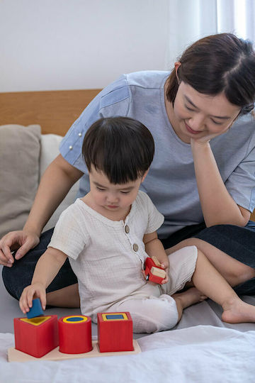 Plan Toys Παιχνίδι Ταξινόμησης Σχημάτων Σχήματα σε Φωλίτσες από Ξύλο για 18+ Μηνών