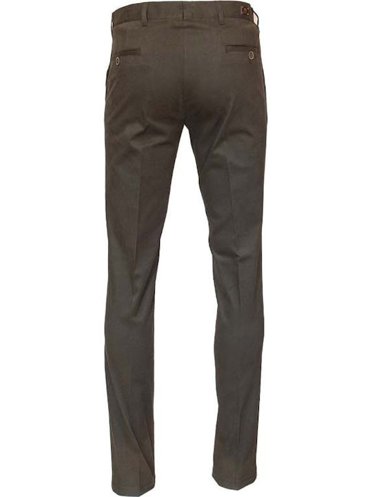Trousers Chino in Regular Fit Cigar