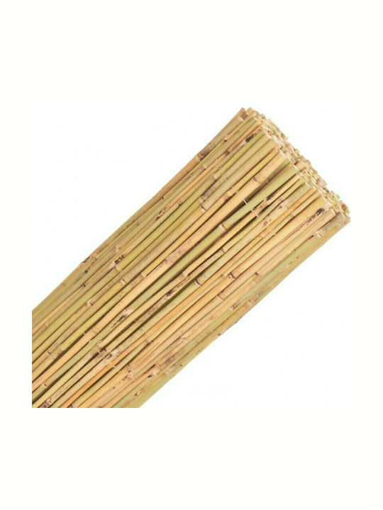 Showood Καλαμωτή με Ολόκληρο Καλάμι Μπαμπού 2x3m