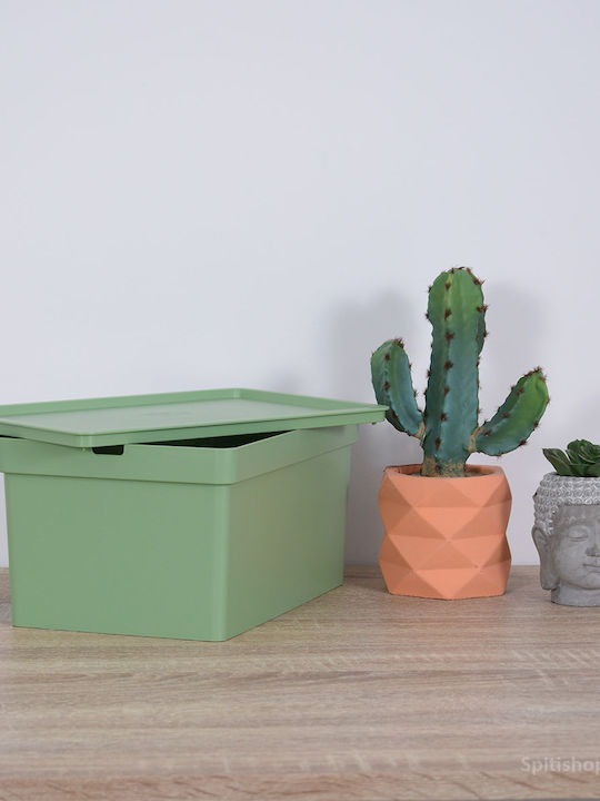 Viomes Nova Plastic Storage box with Cap Green 28x18.5x13.5cm 1pcs