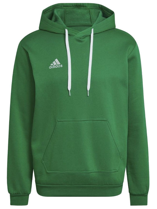 Entrada 22 Sweatshirt with Hood Green