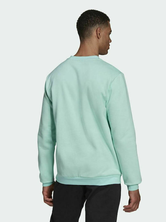 Adidas Entrada 22 Men's Sweatshirt Green