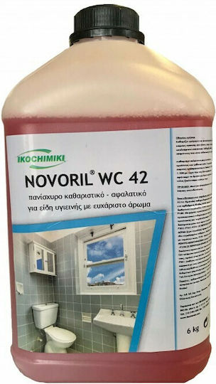 Ikochimiki Professionell Novoril 42 Dickflüssiger Reiniger Anti-Kalkmittel 6lt