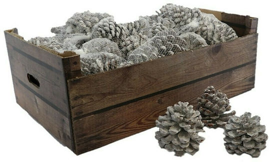 InTheBox Χριστουγεννιάτικο Декорация Pine Pinus