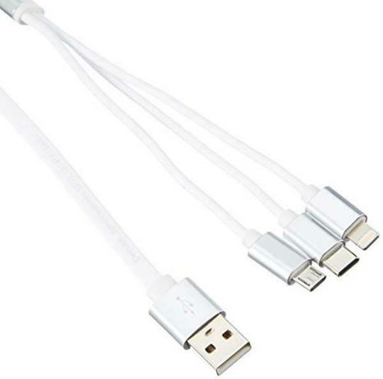 DeLock Ausziehbar USB zu Blitzschlag / Typ-C,TC-TC / Micro-USB Kabel Weiß 0.98m (85850)