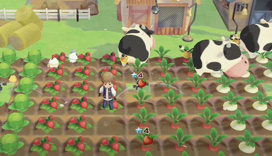 Story of Seasons: Pioneers of Olive Town Joc PS4