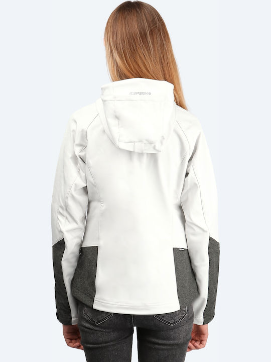 Icepeak