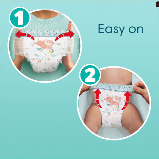 Pampers Πάνες Βρακάκι Premium Care Monthly Pack No. 4 για 9-15kg 114τμχ