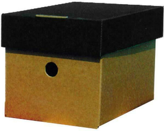 Next Aktenbox Classic 44x32x21cm Schwarz 1Stück