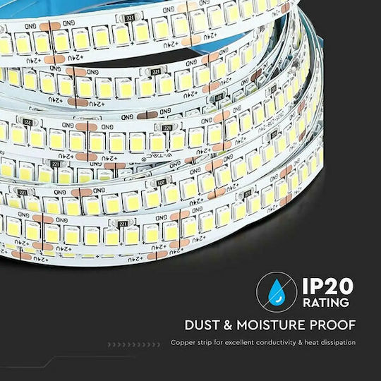 V-TAC LED Strip 24V Cold White Light 5m Type SMD2835