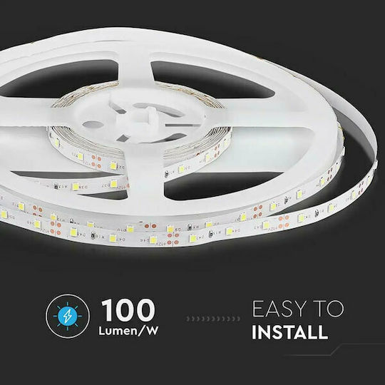 V-TAC LED Strip 12V Blue Light 5m Type SMD3528
