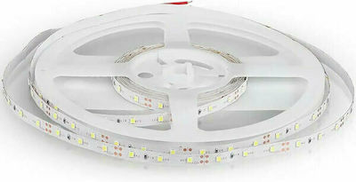 V-TAC Bandă LED Alimentare 12V cu Lumină Roșu Lungime 5m și 60 LED-uri pe Metru SMD3528