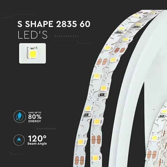 V-TAC Ταινία LED 12V Ψυχρό Λευκό Φως 5m Τύπου SMD2835