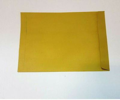 Justnote Catalog Envelopes Set Peel and Seal 25pcs 16x23cm Brown