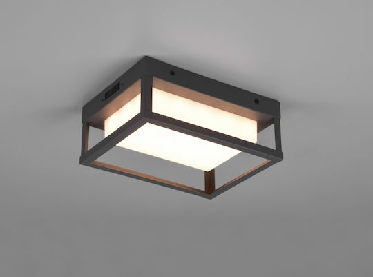 Trio Lighting Wall-Mounted Outdoor Lighting Ceiling Lamp LED 10.5W 18x24x24cm Trio Lighting Wall-Mounted Outdoor Lighting Ceiling Lamp LED 10.5W 18x24x24cm