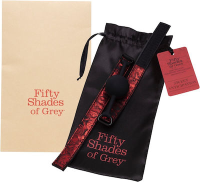 Fifty Shades of Grey Sweet Anticipation Gag Ball