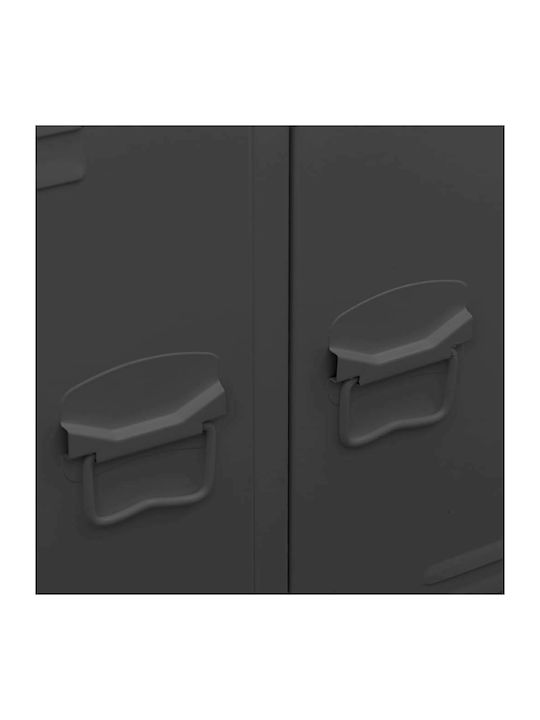 Zweiflügeliger Schrank Metallisch mit Trennwand & 2 Regale Charcoal 67x35x107cm