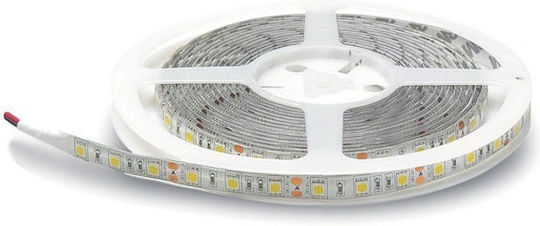 Geyer Ταινία LED 12V Ψυχρό Λευκό Φως 5m Τύπου SMD2835