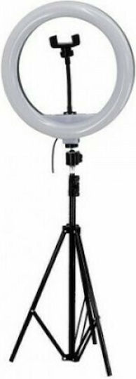 Ringlicht LED 30cm 2500 - 4500K mit Bodenstativ und Handyhalter