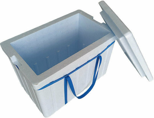Viosarp Portable Fridge 32L White