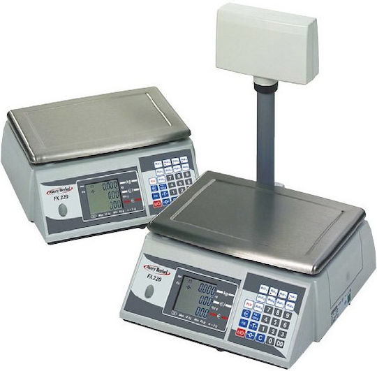 Avery Berkel FX-220 Elektronisch Einzelhandelswaage mit einer Wiegekapazität von 15kg und einer Unterteilung von 2gr