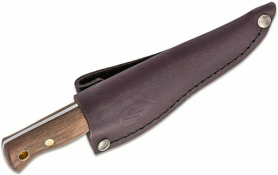 Condor Tool & Knives Mini Bushlore Messer Braun in Hülle