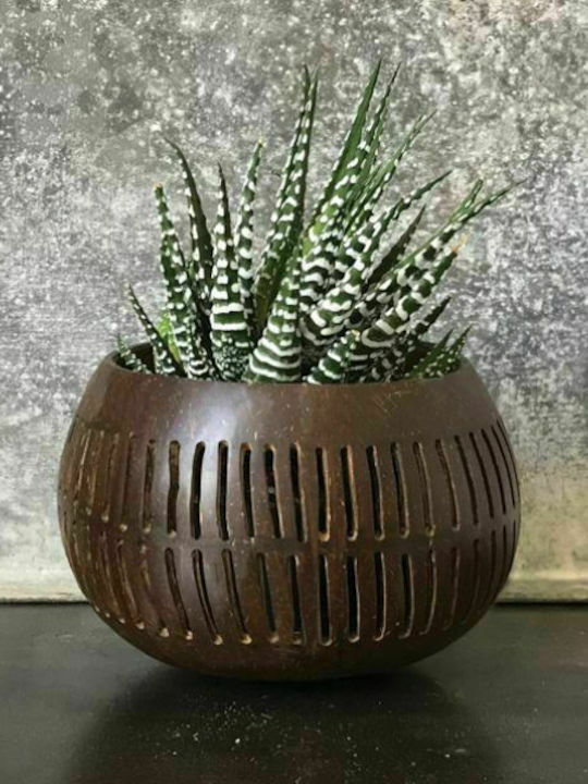 Synchronia Decorative Bowl Wooden Brown 13x13x10cm