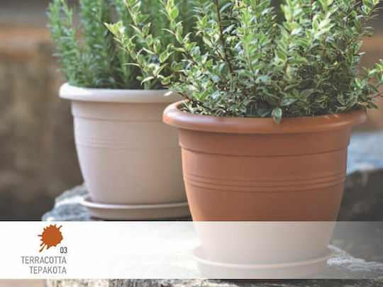 Viomes Terracotta 240 Viomes Terracotta 240