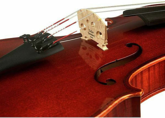 Franz Sandner Schönbach Violin Mod.107 4/4 Βιολί