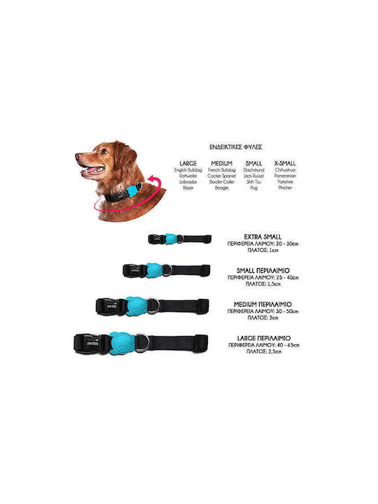 Zee-Dog Fritz Dog Collar Small