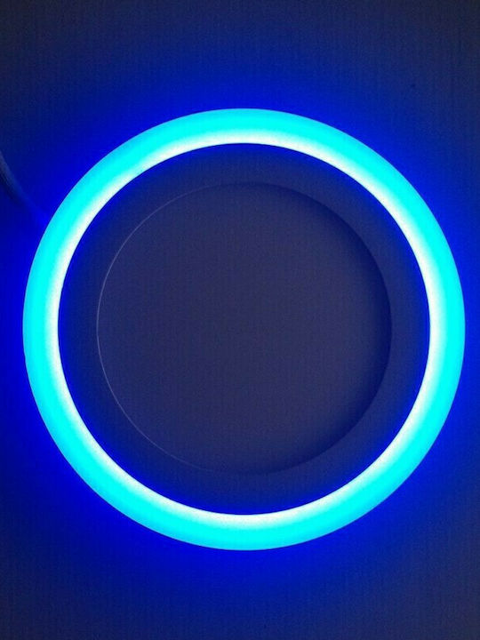 Round Outdoor LED Panel 18W with Blue Light 24.5cm