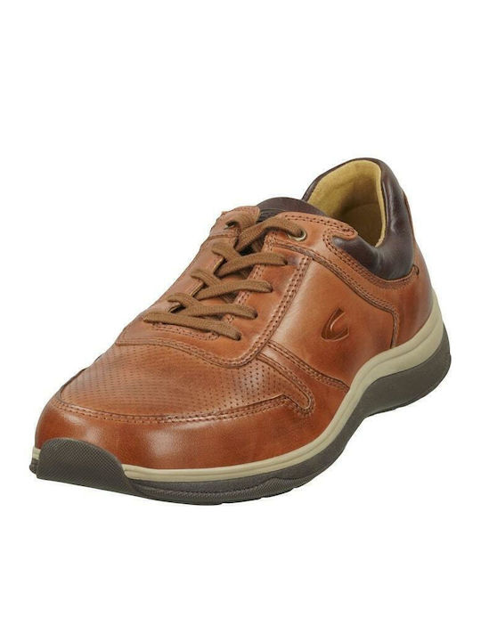 Camel Active Camel Active