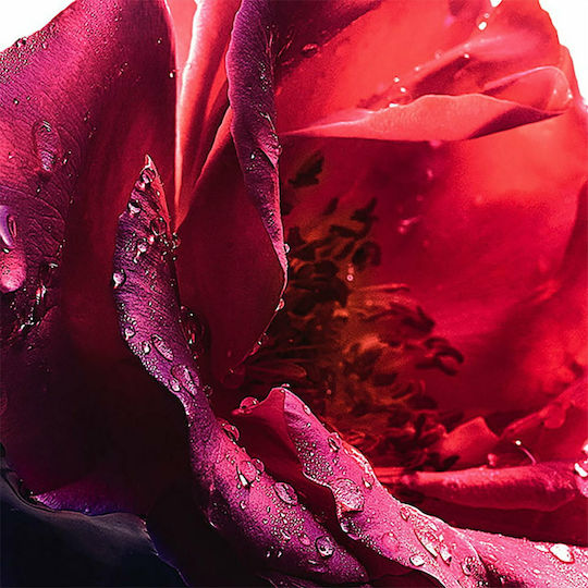 Guerlain La Petite Robe Noire Тоалетна вода 50мл