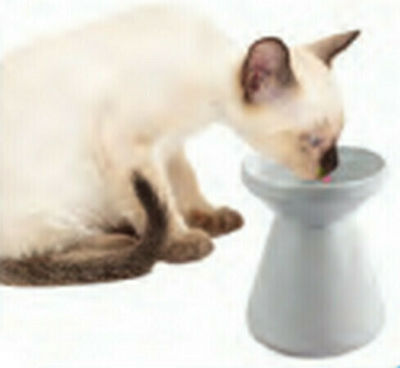 All For Paws Υπερυψωμένο Ceramic Cat Bowl for Water White 12x12x15εκ. 150ml 15cm